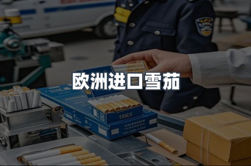 欧洲进口雪茄